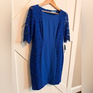 New ANTONIO MELANI Royal Blue Lace Midi Dress size 10 Lace